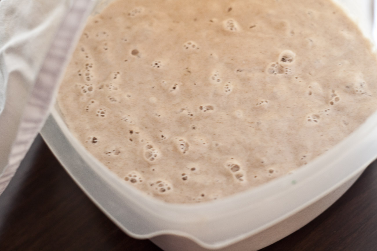 Sourdough Bread Recipe and How To Make Its Starter 6