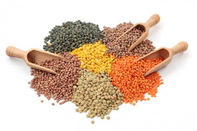 selection of lentil types