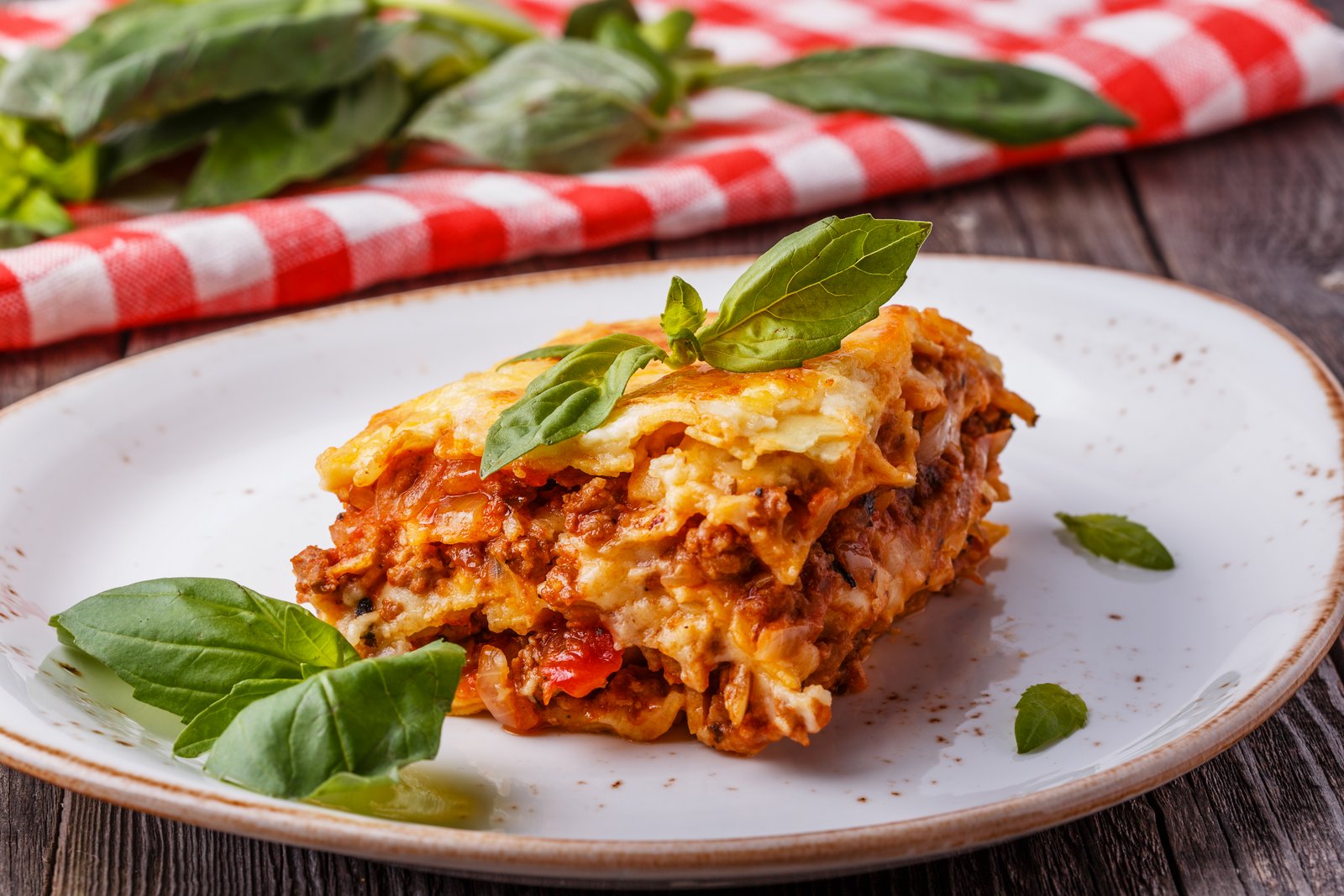 Garfield's Lasagna Recipe With Minced Meat And Italian Spices