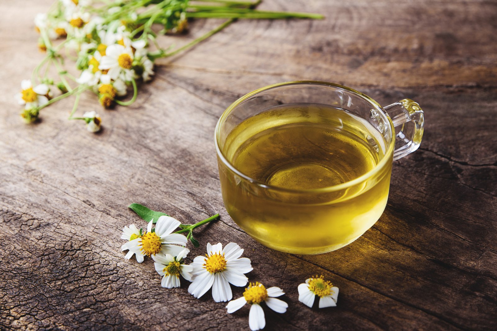 Chamomile Tea Recipe