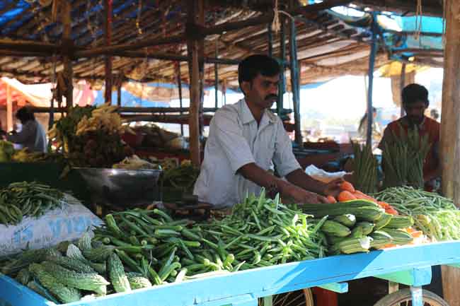HAL Farmers Wholesale Fruit and Vegetable Market Bangalore-17