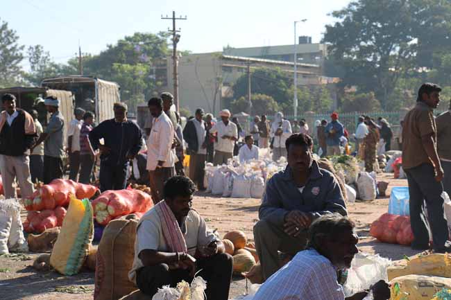 HAL Farmers Wholesale Fruit and Vegetable Market Bangalore-21