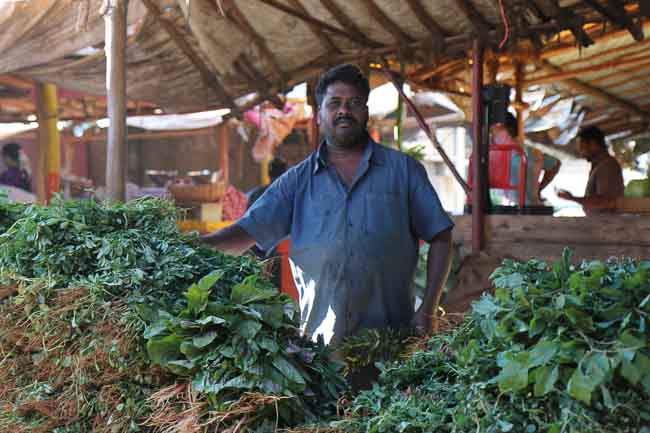 HAL Farmers Wholesale Fruit and Vegetable Market Bangalore-32