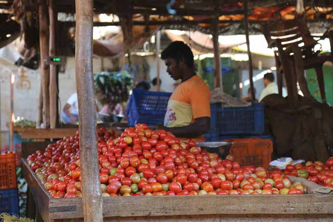 HAL Farmers Wholesale Fruit and Vegetable Market Bangalore-4