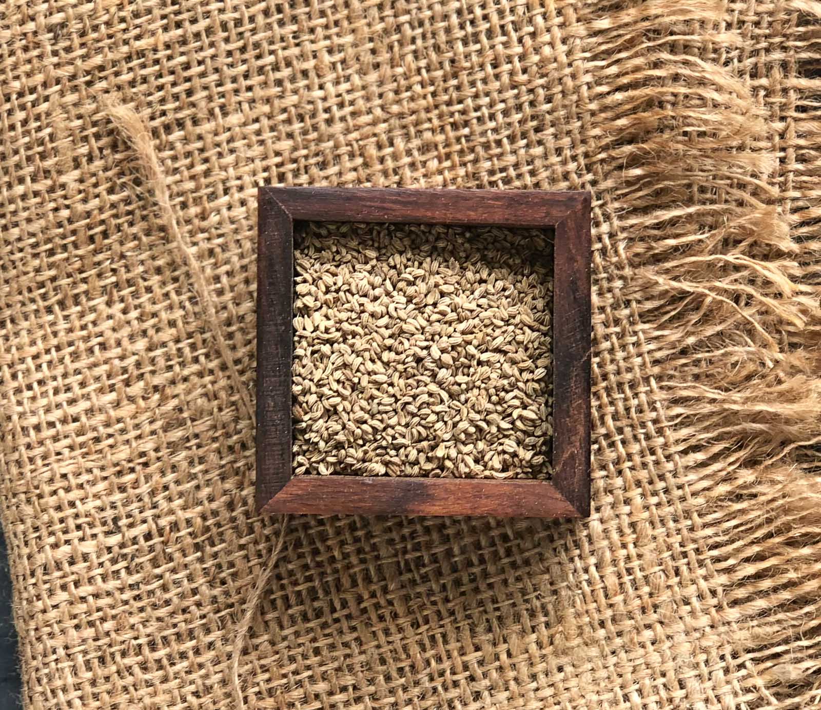 Ajwain Carom Seeds