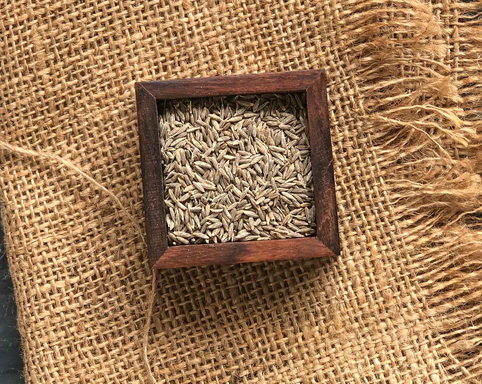 Jeera seeds cumin seeds