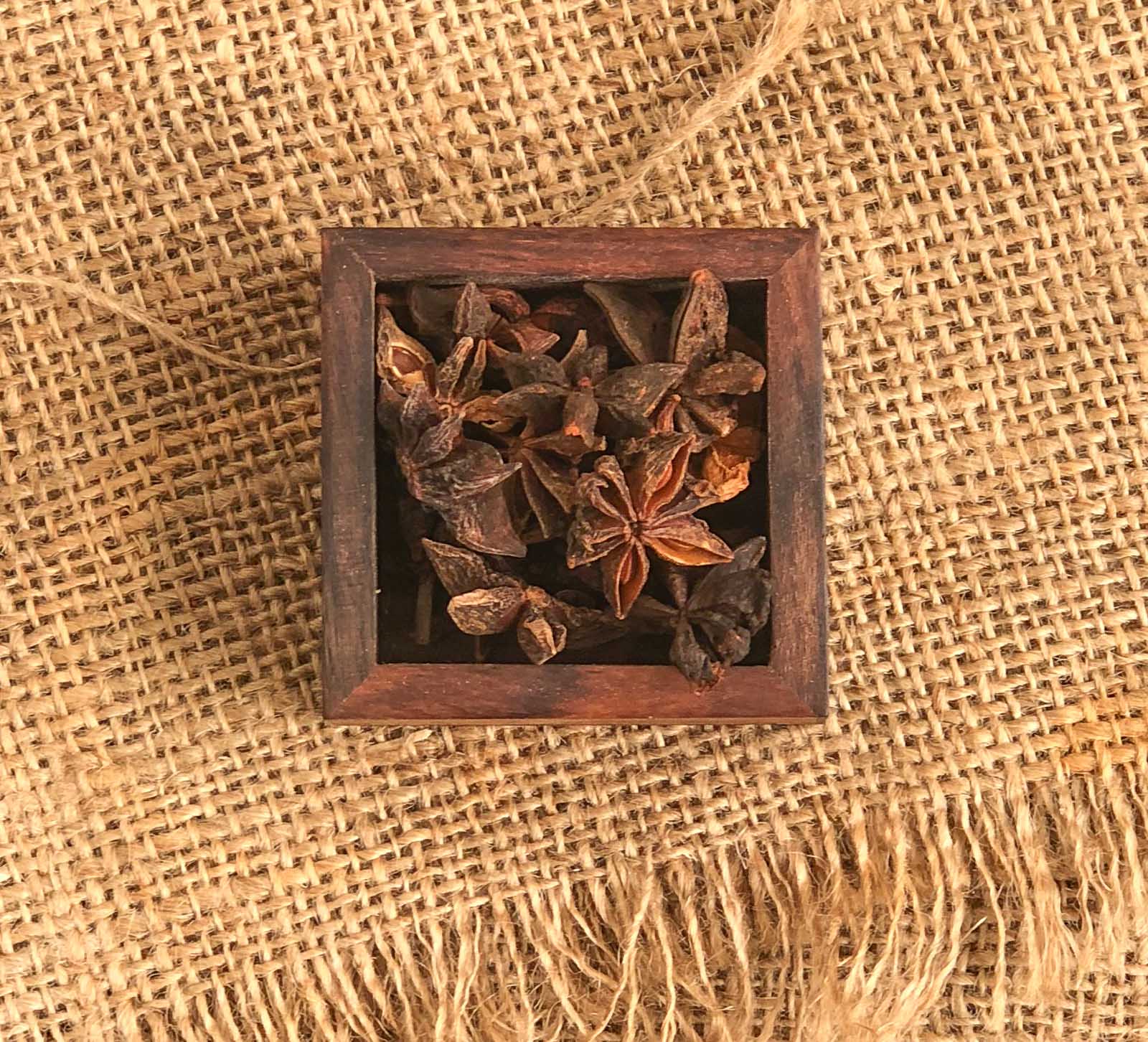 Star Anise 1