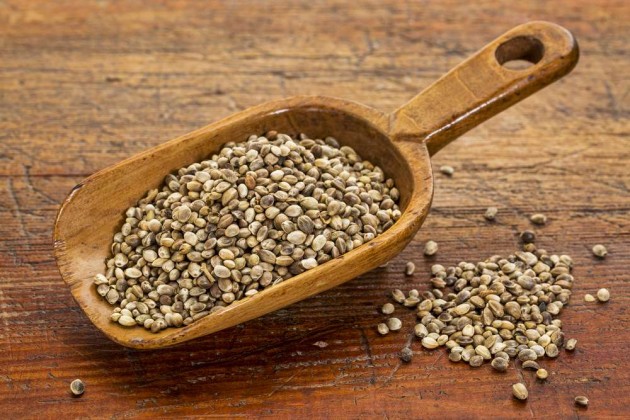 Hemp seeds 630x420