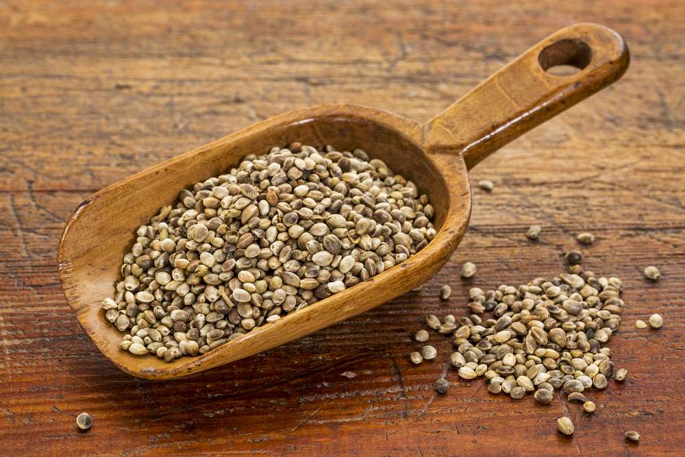 Hemp seeds