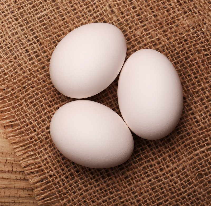 eggs article