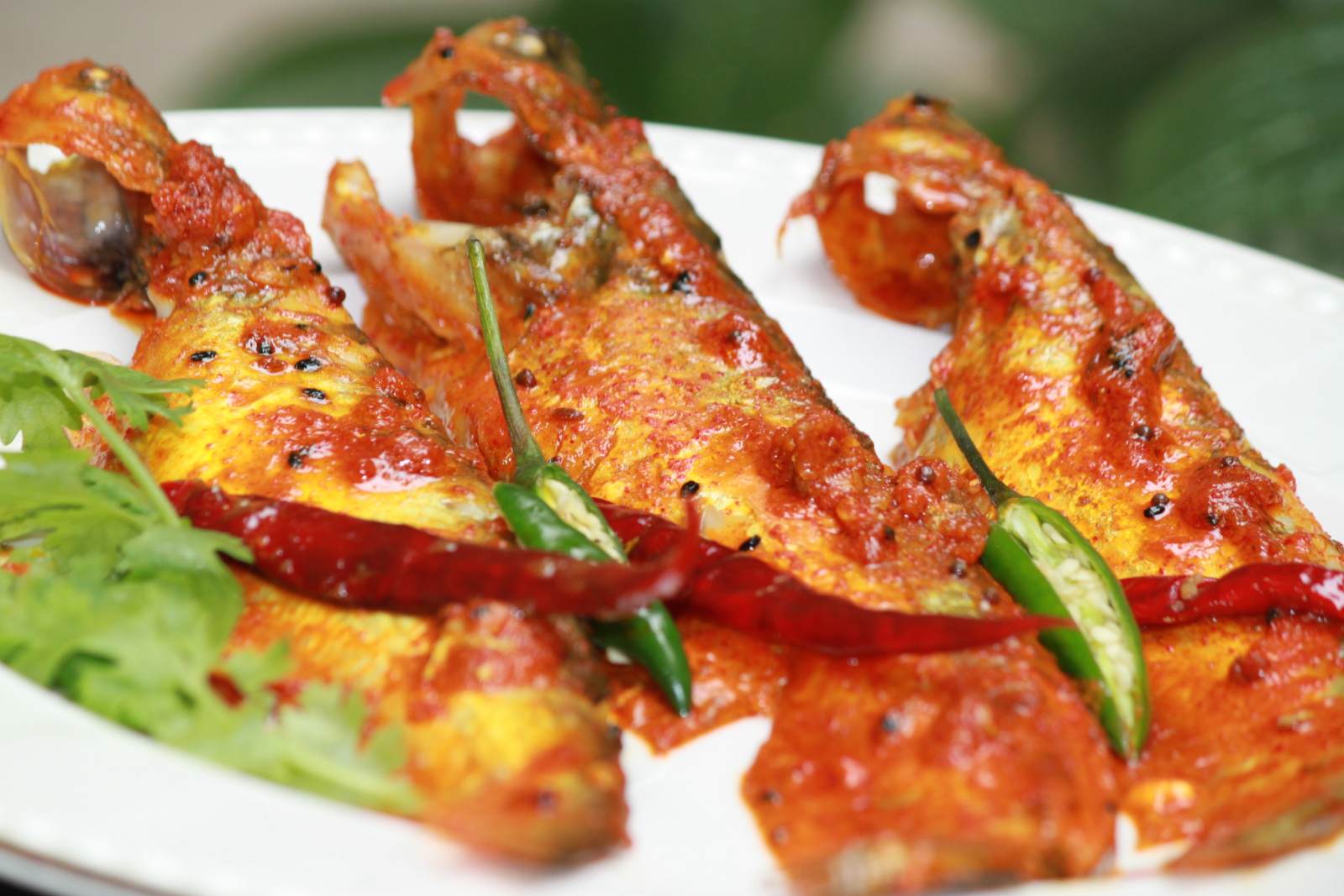 Creamy Indian Butter Fish Recipe - Creamy Pabda Fish