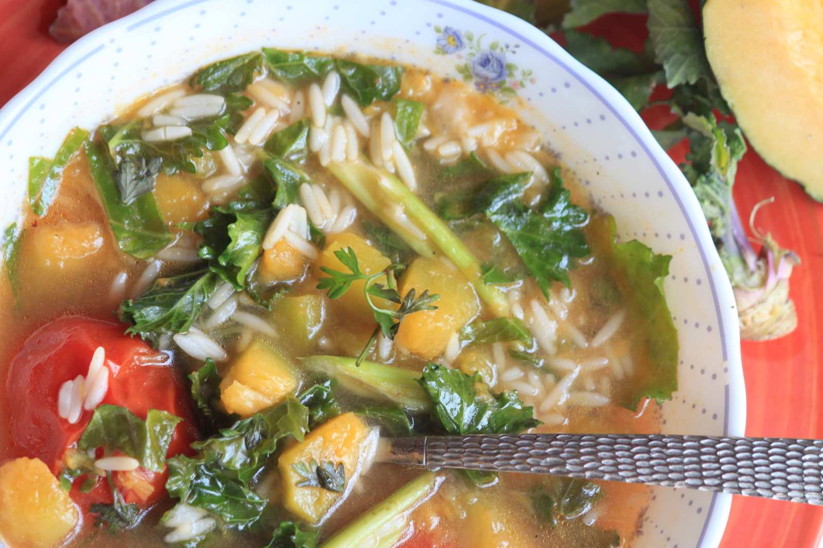 Kale Pumpkin Orzo Soup Recipe