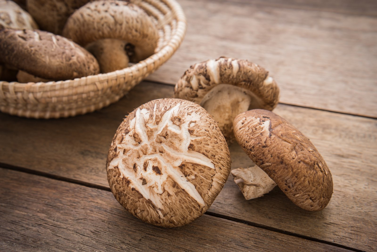 shiitake mushroom