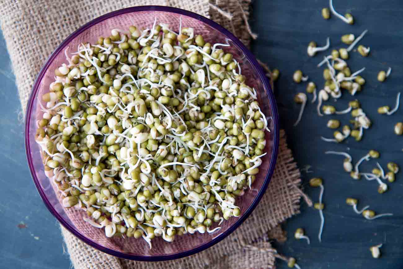 How to make Sprouts at Home