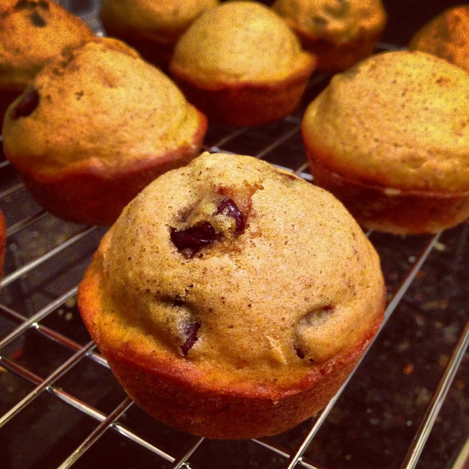 Spiced Pumpkin Oatmeal Muffin Recipe with Chocolate Ganache