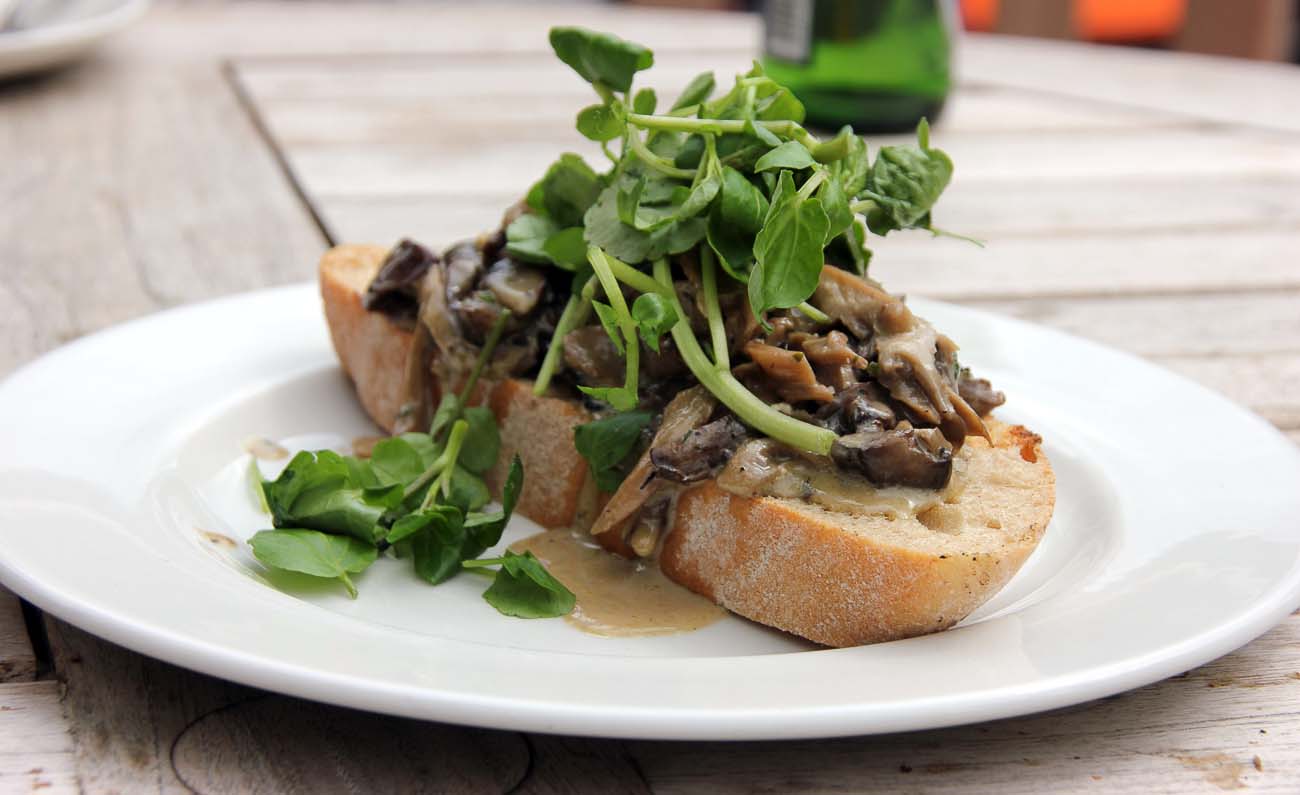 Creamy Cheese Mushroom Bruschetta Recipe