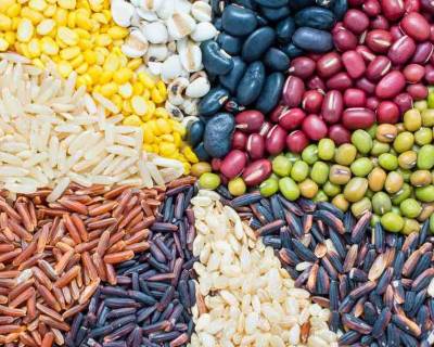 7 High Protein Indian Vegetarian Foods