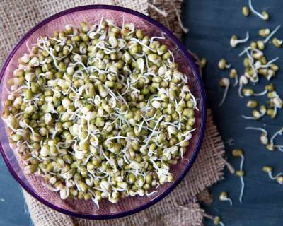 How to make Sprouts at Home