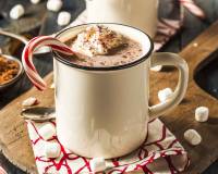 Homemade Hot Chocolate with Whipped Cream Recipe