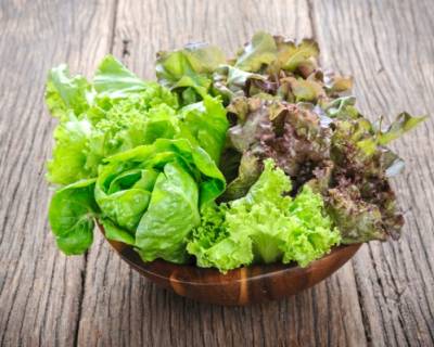 Lettuce - Know Your Ingredient