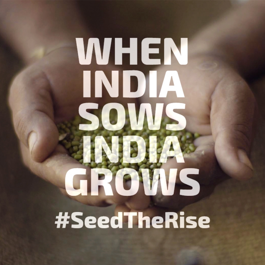 http://www.seedtherise.com/